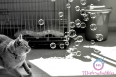 misterybubbles_00020