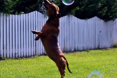 misterybubbles_00026