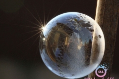 misterybubbles_00085