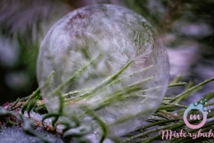 misterybubbles_00087