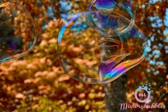 misterybubbles_00089