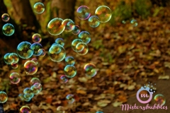 misterybubbles_00096