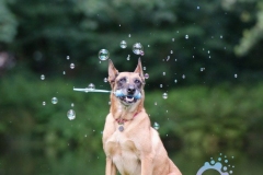 misterybubbles_00098