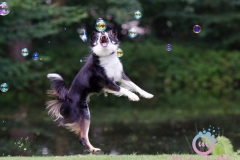 misterybubbles_00099