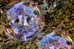 misterybubbles_00103